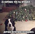 Нажмите на изображение для увеличения.

Название:	&#1049;&#1086;&#1083;&#1082;&#1072;.jpg
Просмотров:	581
Размер:	94.0 Кб
ID:	3838807