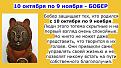 Нажмите на изображение для увеличения.

Название:	image (27).jpg
Просмотров:	1399
Размер:	86.8 Кб
ID:	3850275