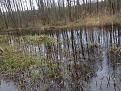 Нажмите на изображение для увеличения.

Название:	IMG_0822.jpg
Просмотров:	991
Размер:	203.4 Кб
ID:	3851184