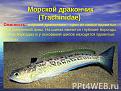 Нажмите на изображение для увеличения.

Название:	img6.jpg
Просмотров:	1199
Размер:	56.7 Кб
ID:	3859517