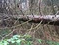 Нажмите на изображение для увеличения.

Название:	IMG_1850.jpg
Просмотров:	723
Размер:	213.8 Кб
ID:	3860717