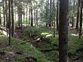 Нажмите на изображение для увеличения.

Название:	IMG_1892.jpg
Просмотров:	718
Размер:	202.1 Кб
ID:	3860723