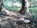 Нажмите на изображение для увеличения.

Название:	2017-09-22 09.49.51.jpg
Просмотров:	690
Размер:	211.7 Кб
ID:	3865412
