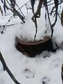 Нажмите на изображение для увеличения.

Название:	IMG00115.jpg
Просмотров:	720
Размер:	55.6 Кб
ID:	3867823