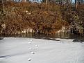 Нажмите на изображение для увеличения.

Название:	DSCF5221.jpg
Просмотров:	497
Размер:	198.9 Кб
ID:	3868838