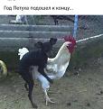 Нажмите на изображение для увеличения.

Название:	fso4OqsYTCY.jpg
Просмотров:	572
Размер:	33.7 Кб
ID:	3872423