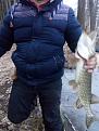 Нажмите на изображение для увеличения.

Название:	IMG_20180109_170329.jpg
Просмотров:	1185
Размер:	148.5 Кб
ID:	3873440