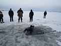 Нажмите на изображение для увеличения.

Название:	IMG_1669.JPG
Просмотров:	675
Размер:	175.0 Кб
ID:	3874181