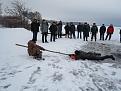 Нажмите на изображение для увеличения.

Название:	IMG_1679.jpg
Просмотров:	660
Размер:	89.6 Кб
ID:	3874191