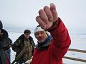 Нажмите на изображение для увеличения.

Название:	IMG_1695.JPG
Просмотров:	660
Размер:	114.1 Кб
ID:	3874216