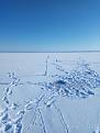 Нажмите на изображение для увеличения.

Название:	IMG-65ef0bafcc9e8bf79c202c7b80eb402a-V.jpg
Просмотров:	1825
Размер:	113.5 Кб
ID:	3874503