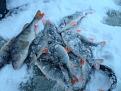 Нажмите на изображение для увеличения.

Название:	IMG_3257.jpg
Просмотров:	715
Размер:	127.0 Кб
ID:	3876891
