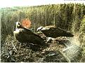 Нажмите на изображение для увеличения.

Название:	22222222222.jpg00.jpg
Просмотров:	2198
Размер:	124.5 Кб
ID:	3880304