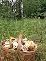 Нажмите на изображение для увеличения.

Название:	20180724_131529.jpg
Просмотров:	876
Размер:	202.0 Кб
ID:	3887595