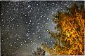 Нажмите на изображение для увеличения.

Название:	DSC_0744-01.jpg
Просмотров:	4853
Размер:	180.5 Кб
ID:	3889616