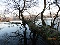Нажмите на изображение для увеличения.

Название:	IMG_7051.jpg
Просмотров:	2000
Размер:	203.2 Кб
ID:	3894093