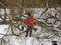 Нажмите на изображение для увеличения.

Название:	IMG_0204.jpg
Просмотров:	833
Размер:	200.8 Кб
ID:	3895082