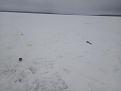 Нажмите на изображение для увеличения.

Название:	P90114-103751.jpg
Просмотров:	1962
Размер:	46.6 Кб
ID:	3896589
