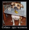 Нажмите на изображение для увеличения.

Название:	0090.jpg
Просмотров:	597
Размер:	65.0 Кб
ID:	3901930