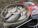 Нажмите на изображение для увеличения.

Название:	xPwL_wiN1Vc.jpg
Просмотров:	1945
Размер:	185.7 Кб
ID:	3903163