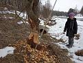 Нажмите на изображение для увеличения.

Название:	IMG_20190224_111829.jpg
Просмотров:	1260
Размер:	201.6 Кб
ID:	3903260