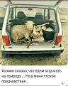 Нажмите на изображение для увеличения.

Название:	55604006_440999273337822_4775040027174371328_n.jpg
Просмотров:	591
Размер:	82.5 Кб
ID:	3904382