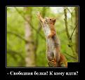 Нажмите на изображение для увеличения.

Название:	белочка.jpg
Просмотров:	625
Размер:	78.6 Кб
ID:	3904386
