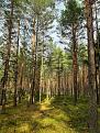 Нажмите на изображение для увеличения.

Название:	IMG-031435a0d85ea44a5ff8c301a1e2015d-V.jpg
Просмотров:	945
Размер:	212.5 Кб
ID:	3912650