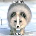 Нажмите на изображение для увеличения.

Название:	ПП.jpg
Просмотров:	902
Размер:	38.7 Кб
ID:	3914373