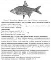 Нажмите на изображение для увеличения.

Название:	IMG-643a1c2b4b9afc185ac0a665d6e9a6ef-V.jpg
Просмотров:	1042
Размер:	109.3 Кб
ID:	3915782