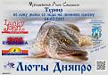 Нажмите на изображение для увеличения.

Название:	&#1051;&#1044;_&#1055;&#1086;&#1089;&#1090;&#1077;&#1088;_2-6.jpg
Просмотров:	3972
Размер:	194.5 Кб
ID:	3921149