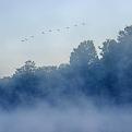 Нажмите на изображение для увеличения.

Название:	DSC_8067_11.jpg
Просмотров:	184
Размер:	39.2 Кб
ID:	4240826