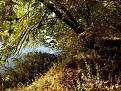 Нажмите на изображение для увеличения.

Название:	IMG_20141006_124314.jpg
Просмотров:	230
Размер:	218.9 Кб
ID:	4241631