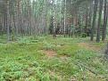 Нажмите на изображение для увеличения.

Название:	IMG_20140614_105946.jpg
Просмотров:	444
Размер:	199.5 Кб
ID:	4241762