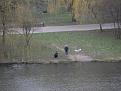 Нажмите на изображение для увеличения.

Название:	SAM_5997.jpg
Просмотров:	303
Размер:	166.8 Кб
ID:	4304702