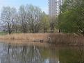 Нажмите на изображение для увеличения.

Название:	20150501_124527.jpg
Просмотров:	237
Размер:	179.2 Кб
ID:	4304714