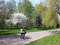 Нажмите на изображение для увеличения.

Название:	20150501_131649.jpg
Просмотров:	227
Размер:	198.7 Кб
ID:	4304719
