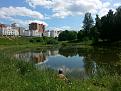 Нажмите на изображение для увеличения.

Название:	20150531_145401.jpg
Просмотров:	237
Размер:	198.7 Кб
ID:	4304761