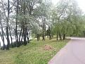 Нажмите на изображение для увеличения.

Название:	20150624_101532.jpg
Просмотров:	211
Размер:	201.1 Кб
ID:	4304924