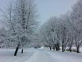 Нажмите на изображение для увеличения.

Название:	20160124_130654.jpg
Просмотров:	202
Размер:	196.7 Кб
ID:	4305026