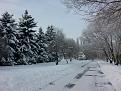Нажмите на изображение для увеличения.

Название:	20160124_132335.jpg
Просмотров:	234
Размер:	198.0 Кб
ID:	4305028