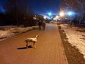 Нажмите на изображение для увеличения.

Название:	20160205_190935.jpg
Просмотров:	355
Размер:	128.8 Кб
ID:	4305044