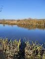 Нажмите на изображение для увеличения.

Название:	IMG_20211009_105241.jpg
Просмотров:	908
Размер:	527.7 Кб
ID:	4404456