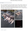 Нажмите на изображение для увеличения.

Название:	Безымянный.png
Просмотров:	1203
Размер:	235.5 Кб
ID:	4413135
