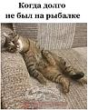 Нажмите на изображение для увеличения.

Название:	289606305_756099118755164_8272617487719967751_n.jpg
Просмотров:	2103
Размер:	35.8 Кб
ID:	4433512