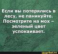 Нажмите на изображение для увеличения.

Название:	287159275_525798029246366_8223880259743408689_n.jpg
Просмотров:	4186
Размер:	119.5 Кб
ID:	4438240