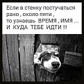 Нажмите на изображение для увеличения.

Название:	288113286_459959959270197_8480711704423091253_n.jpg
Просмотров:	4180
Размер:	154.9 Кб
ID:	4438244