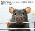 Нажмите на изображение для увеличения.

Название:	291580304_5415514461844775_5018556015891250159_n.jpg
Просмотров:	4173
Размер:	52.5 Кб
ID:	4438245