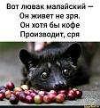 Нажмите на изображение для увеличения.

Название:	296528061_5785317338167591_7730293720676191613_n.jpg
Просмотров:	4181
Размер:	107.0 Кб
ID:	4438252