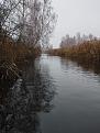 Нажмите на изображение для увеличения.

Название:	IMG_20221107_151953.jpg
Просмотров:	13771
Размер:	454.5 Кб
ID:	4441267